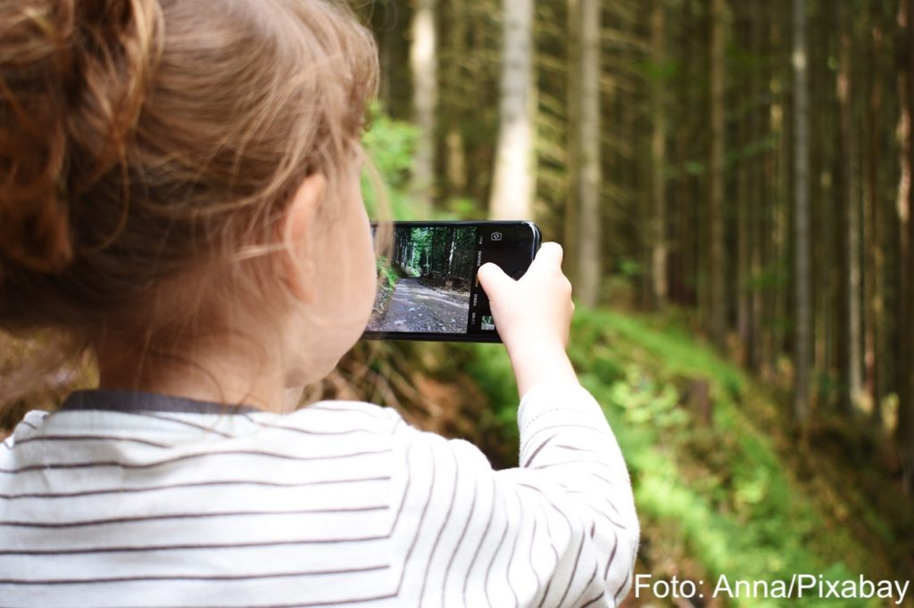 Ein kleines Kind hält ein Smartphone in der Hand und fotografiert einen Wald.