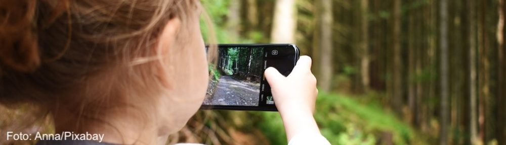 Ein kleines Kind hält ein Smartphone in der Hand und fotografiert einen Wald.